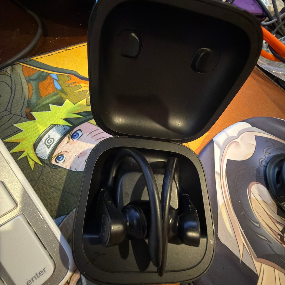 Beats Powerbeats Pro Wireless Earbuds